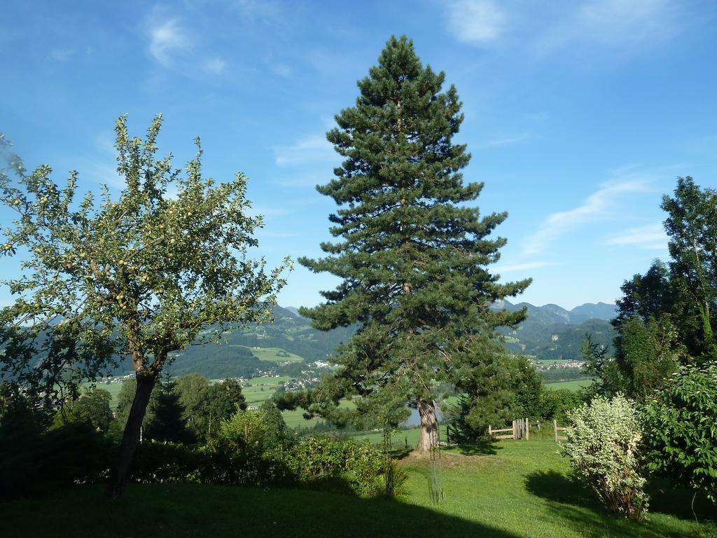 Pension Schone Aussicht Kuchl Dış mekan fotoğraf