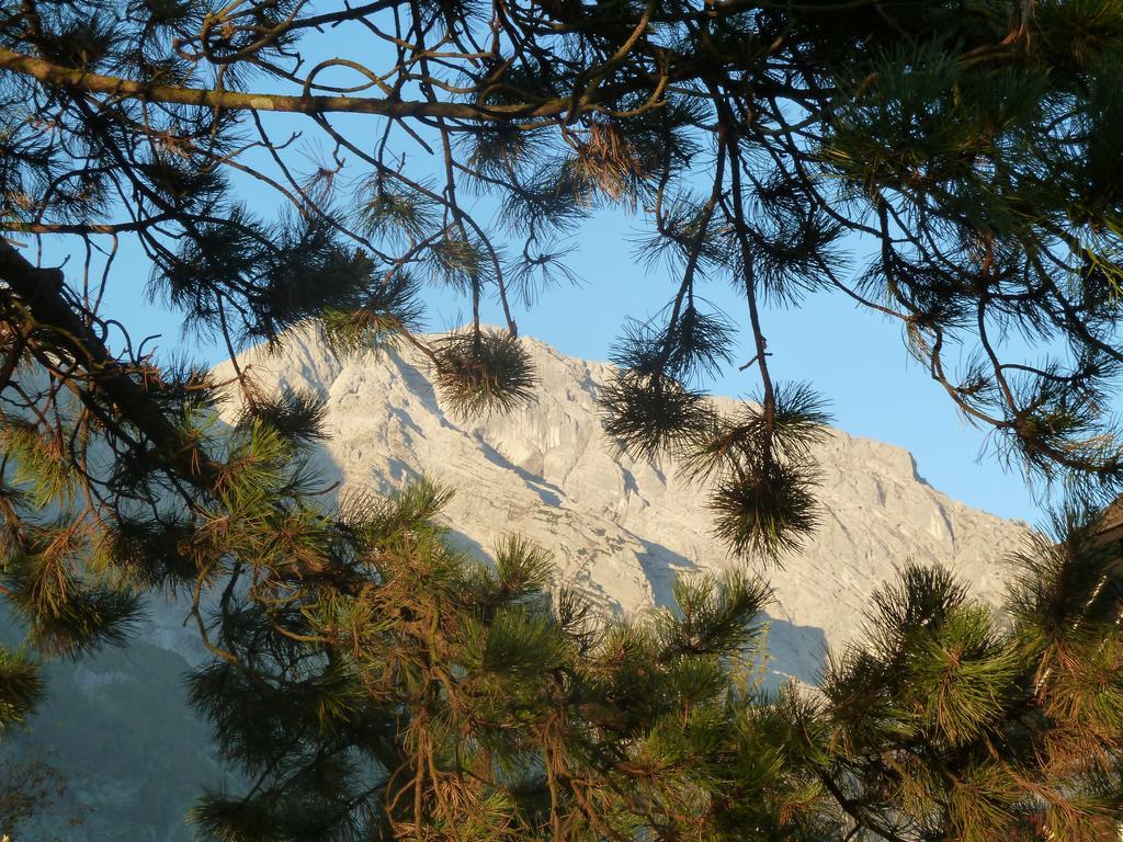 Pension Schone Aussicht Kuchl Dış mekan fotoğraf